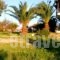 Rooms with View_best deals_Room_Macedonia_Halkidiki_Haniotis - Chaniotis