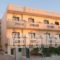 Theoni Apartments_best prices_in_Apartment_Crete_Heraklion_Malia