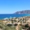 Petra Nova Villas_holidays_in_Villa_Crete_Lasithi_Mochlos