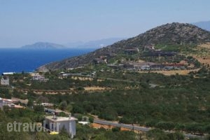 Aloni Villas_lowest prices_in_Villa_Crete_Lasithi_Ierapetra