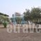 Dolphin Apartments_best deals_Apartment_Crete_Chania_Fragokastello