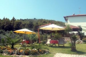 Nikos Apartments_holidays_in_Apartment_Macedonia_Halkidiki_Chalkidiki Area