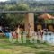 Villa Catani_best deals_Villa_Crete_Chania_Galatas