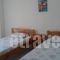 Maria Apartments_travel_packages_in_Macedonia_Pieria_Paralia Skotinas