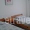 Maria Apartments_best deals_Apartment_Macedonia_Pieria_Paralia Skotinas