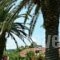 Theocharis Apartments_best deals_Apartment_Ionian Islands_Corfu_Aghios Stefanos