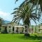 Theocharis Apartments_holidays_in_Apartment_Ionian Islands_Corfu_Aghios Stefanos