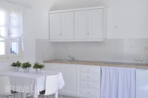 Villa Irine_best prices_in_Villa_Cyclades Islands_Paros_Piso Livadi