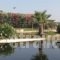 Asterias Studios & Apartments_best deals_Apartment_Crete_Chania_Akrotiri