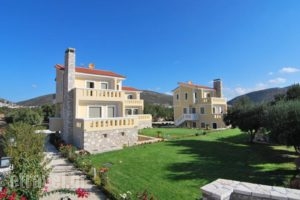 Elaia Villas_accommodation_in_Villa_Aegean Islands_Samos_Pythagorio