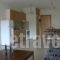 Elena Apartments_best deals_Apartment_Macedonia_Thessaloniki_Thessaloniki City