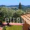 Archontiko Villas_best deals_Villa_Ionian Islands_Zakinthos_Alykes