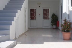 Georgias Rooms_holidays_in_Room_Dodekanessos Islands_Tilos_Tilos Chora