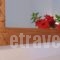 Villa Melini_best deals_Villa_Sporades Islands_Skopelos_Stafylos