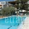 Nontas Apartments_travel_packages_in_Crete_Heraklion_Gouves