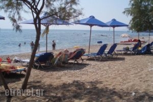 Alexandros Apartments_best deals_Apartment_Thessaly_Magnesia_Pilio Area