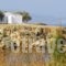 Marathakis Apartments_best deals_Apartment_Crete_Chania_Galatas