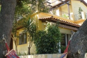 Villa Xanthippe_holidays_in_Villa_Central Greece_Attica_Athens