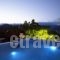 Villa Vager_best deals_Villa_Peloponesse_Arcadia_Levidi