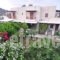 Villa Mata_travel_packages_in_Cyclades Islands_Ios_Ios Chora