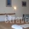 Villa Ira Studios - Apartments_best prices_in_Villa_Epirus_Preveza_Parga