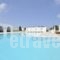 Villa Bellonia_accommodation_in_Villa_Cyclades Islands_Paros_Paros Chora