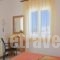 Cathrin Beach Apartments_lowest prices_in_Apartment_Crete_Chania_Stavros