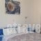 Ikonomakis Apartments_best deals_Apartment_Crete_Rethymnon_Mylopotamos