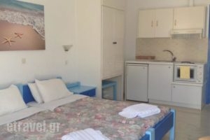 Ikonomakis Apartments_best prices_in_Apartment_Crete_Rethymnon_Mylopotamos