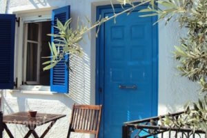 Villa Orizontes_holidays_in_Villa_Piraeus Islands - Trizonia_Spetses_Spetses Chora