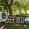 Villa Nikiti_best deals_Villa_Macedonia_Halkidiki_Chalkidiki Area