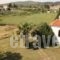 Villa Nikiti_best prices_in_Villa_Macedonia_Halkidiki_Chalkidiki Area