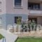 Villa Stefania_travel_packages_in_Crete_Chania_Galatas