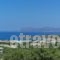 Villa Stefania_lowest prices_in_Villa_Crete_Chania_Galatas