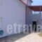 Villa Platanos_best deals_Villa_Aegean Islands_Thasos_Thasos Chora