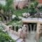 Anastasis Apartments_best deals_Apartment_Ionian Islands_Kefalonia_Vlachata