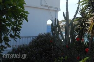 Voutsinou Apartments_best deals_Apartment_Cyclades Islands_Syros_Syrosst Areas