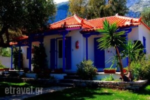 White Rock Apartments_best deals_Apartment_Aegean Islands_Samos_Marathokambos