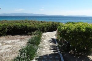 Argo Apartments_lowest prices_in_Apartment_Macedonia_Halkidiki_Nea Moudania