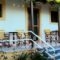 Skafonas Apartments_holidays_in_Apartment_Ionian Islands_Corfu_Corfu Rest Areas