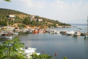 Villa Christina Apartments_best deals_Villa_Thessaly_Magnesia_Almiros