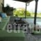 Bella Villa_best prices_in_Villa_Piraeus Islands - Trizonia_Aigina_Aigina Chora