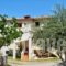 Alexandraki Rooms_lowest prices_in_Room_Peloponesse_Lakonia_Sarti