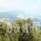 Ulisse Apartments_best prices_in_Apartment_Ionian Islands_Corfu_Palaeokastritsa