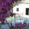 Morpheas Pension Rooms & Apartments_holidays_in_Room_Cyclades Islands_Sifnos_Kamares