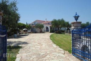 Tassos Apartments_holidays_in_Apartment_Thessaly_Magnesia_Koropi