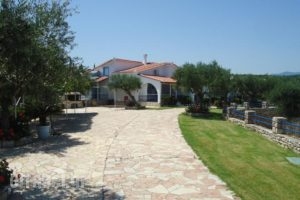 Tassos Apartments_best deals_Apartment_Thessaly_Magnesia_Koropi