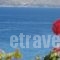 Manos Apartments_best deals_Apartment_Crete_Chania_Almyrida