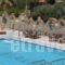 Evalia Apartments_lowest prices_in_Apartment_Crete_Heraklion_Chersonisos