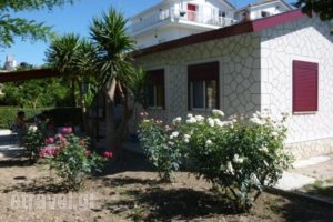 Pettas Apartments_best prices_in_Apartment_Ionian Islands_Zakinthos_Laganas